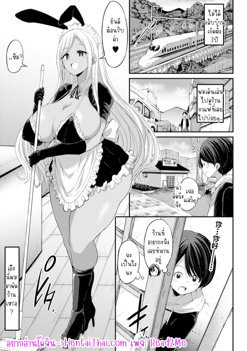 อ่านโดจิน คาเฟ่แบล็คบันนี่ยินดีให้บริการ 1 แปลไทย