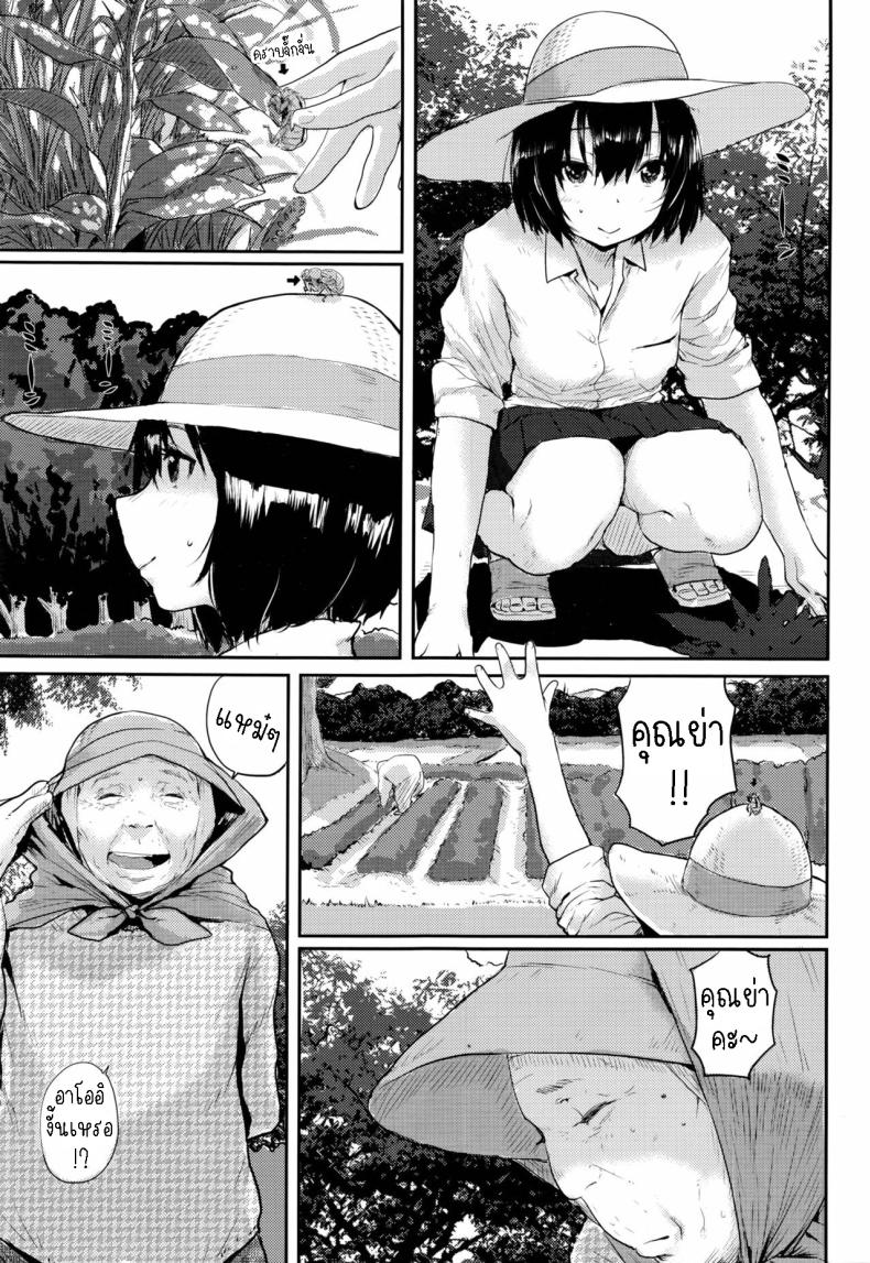 ดอกไม้ไฟระยิบระยับ ภาพ 2