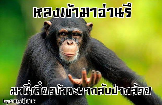 เกาะร้างสร้างรักนิรันดร์ ภาพ 24