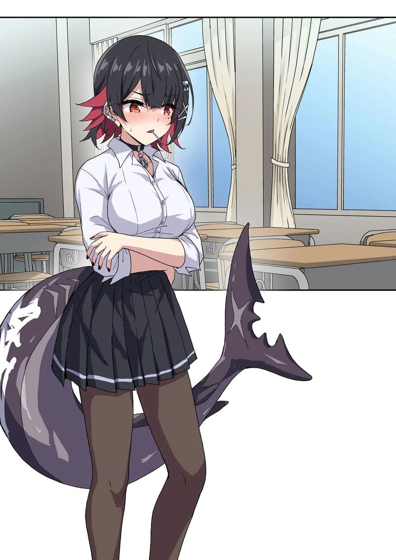 ชาร์คว่าว ภาพ 9