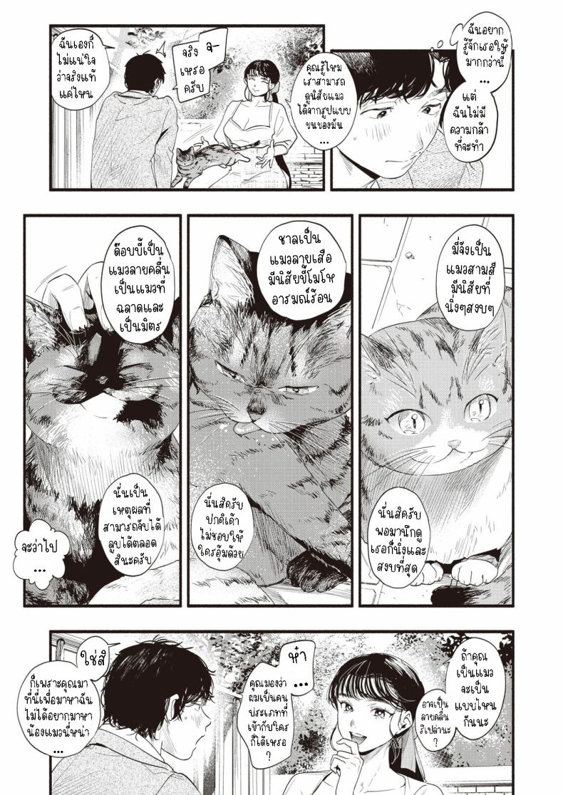 ศึกษามิซูซุ ภาพ 2