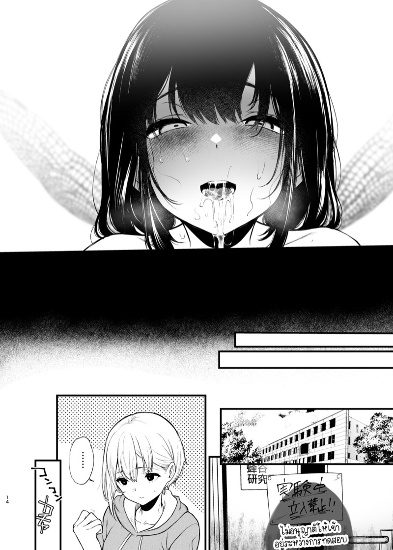 แมงเม่าที่บินเข้ากองไฟอย่างเต็มใจ ภาพ 13