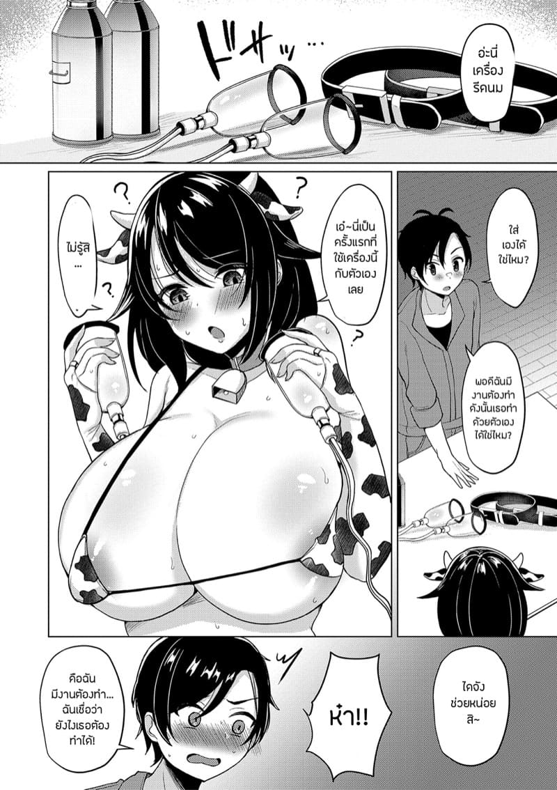 แม่พันธุ์วัวเกรดเอพลัส ภาพ 5