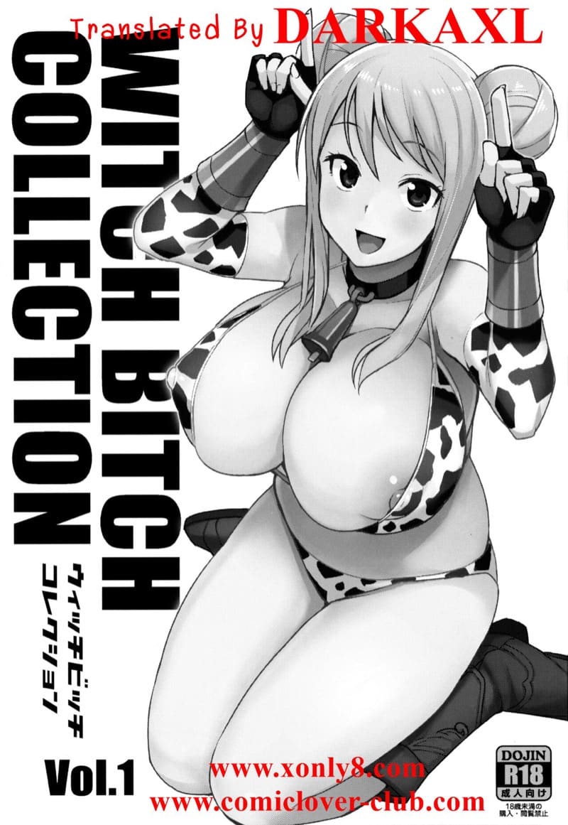 สาวจากกิลด์แฟรี่เทล ภาพ 1