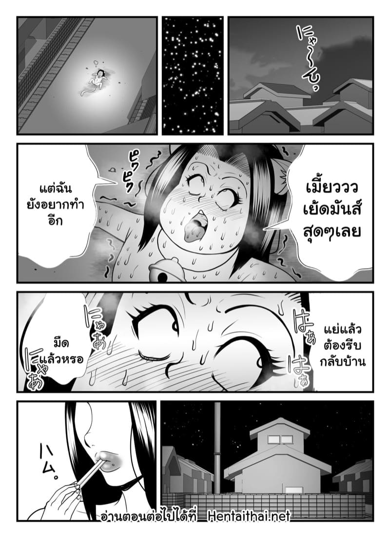 แม่บ้านเป็นแมว 1 ภาพ 34