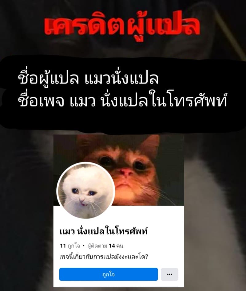 ได้แฟนสมใจ ภาพ 34