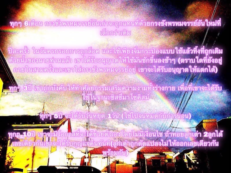 ต้นกำเนิดของ M คักกี้ ภาพ 48