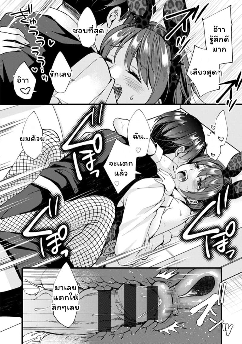 คลับราตรีกระต่ายน้อย 8 ภาพ 17