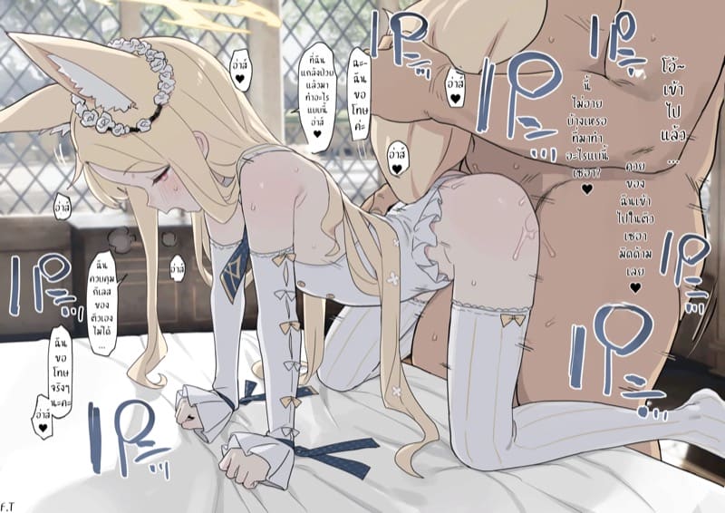 เตรียมชุดนี้มาเพื่อคุณ ภาพ 1