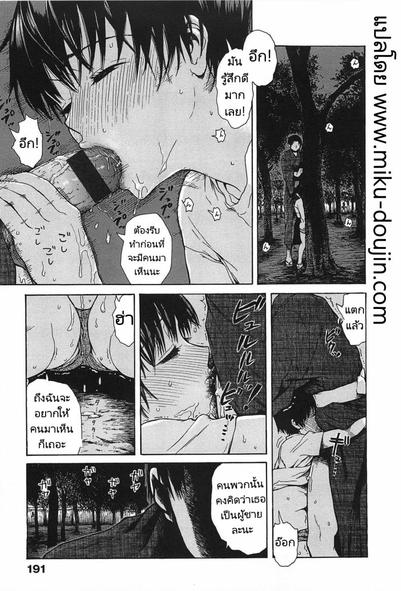 เทศกาลงานดอกไม้ไฟในหน้าร้อน