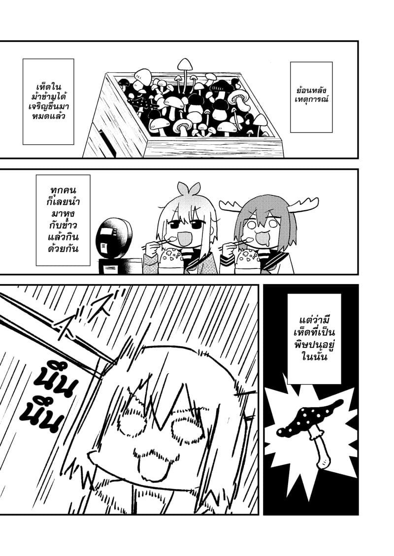 เห็ดเกิดจากความเหงา ภาพ 3