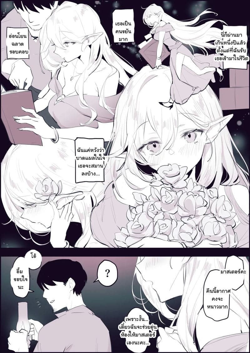 เอลฟ์ที่ถูกทิ้งในวันนั้น... ภาพ 3