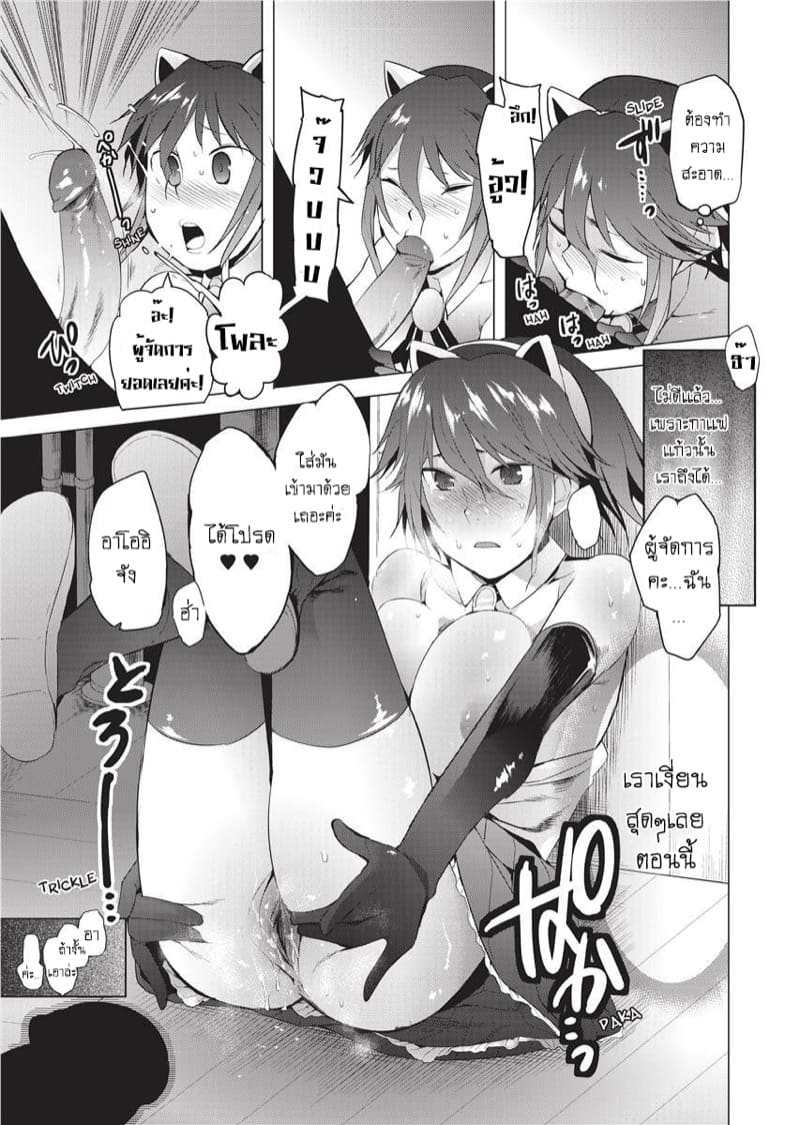 อะไรอยู่ในกาเเฟ ภาพ 8