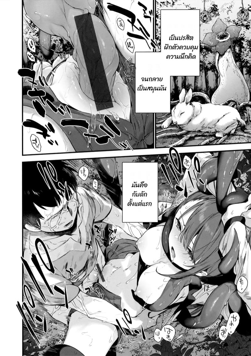 ห่วงโซ่อาหาร ภาพ 7