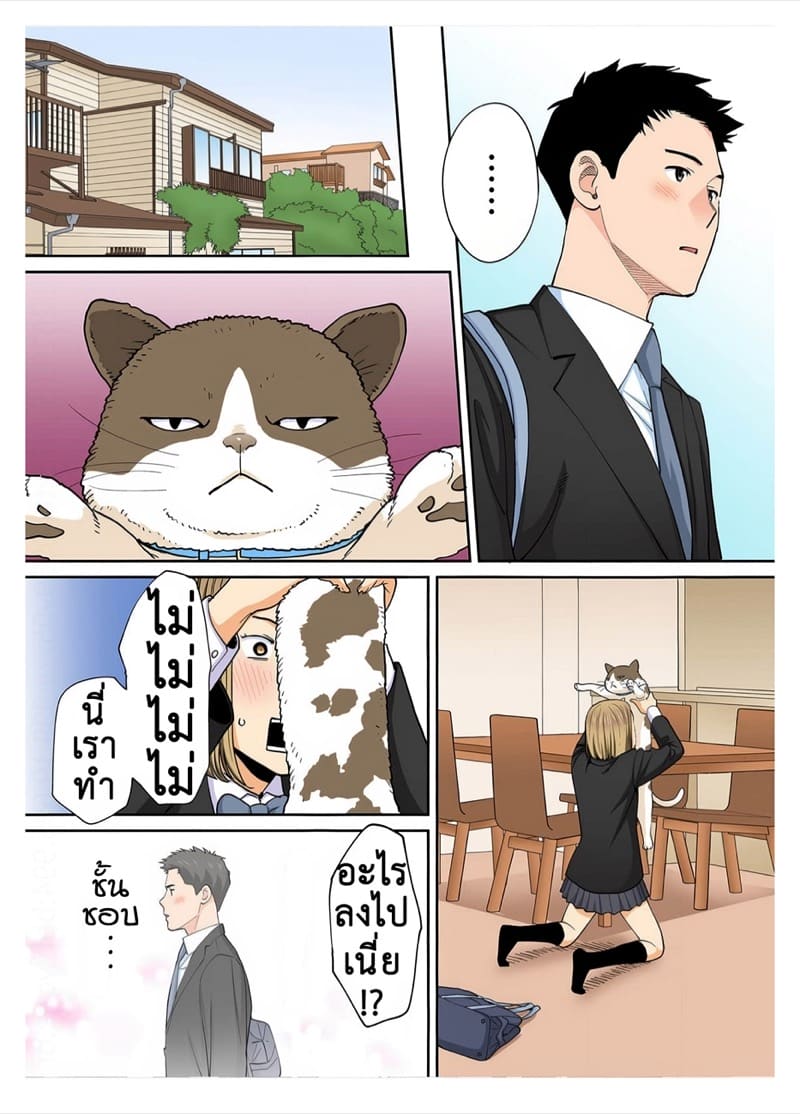 นิอิยามะ สเปเขี่ยล 3.1 ภาพ 23