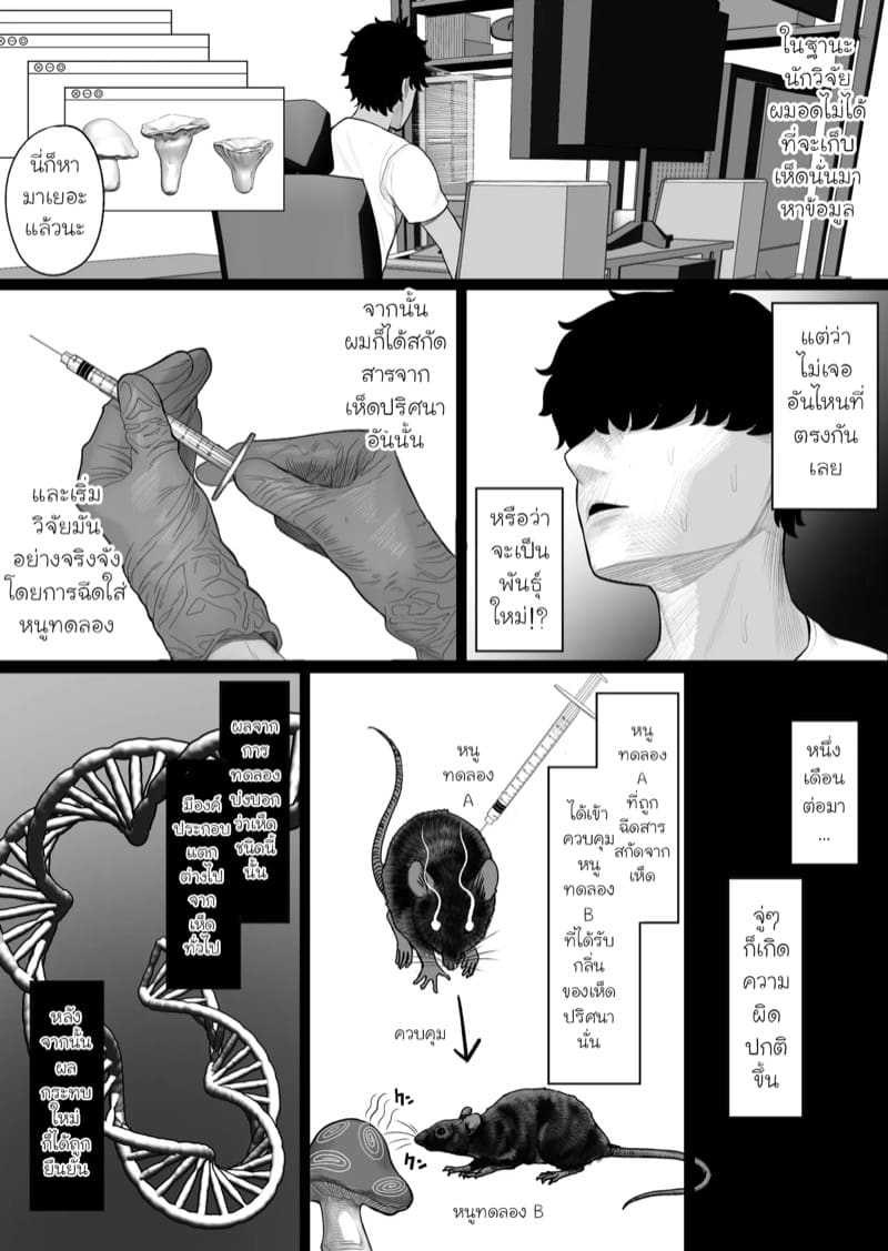 เห็ดกำราบแยงกี้ ภาพ 7