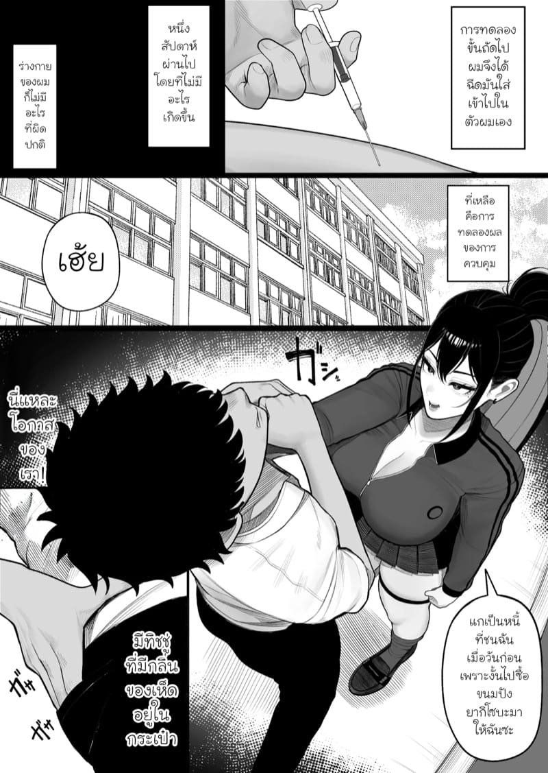 เห็ดกำราบแยงกี้ ภาพ 8