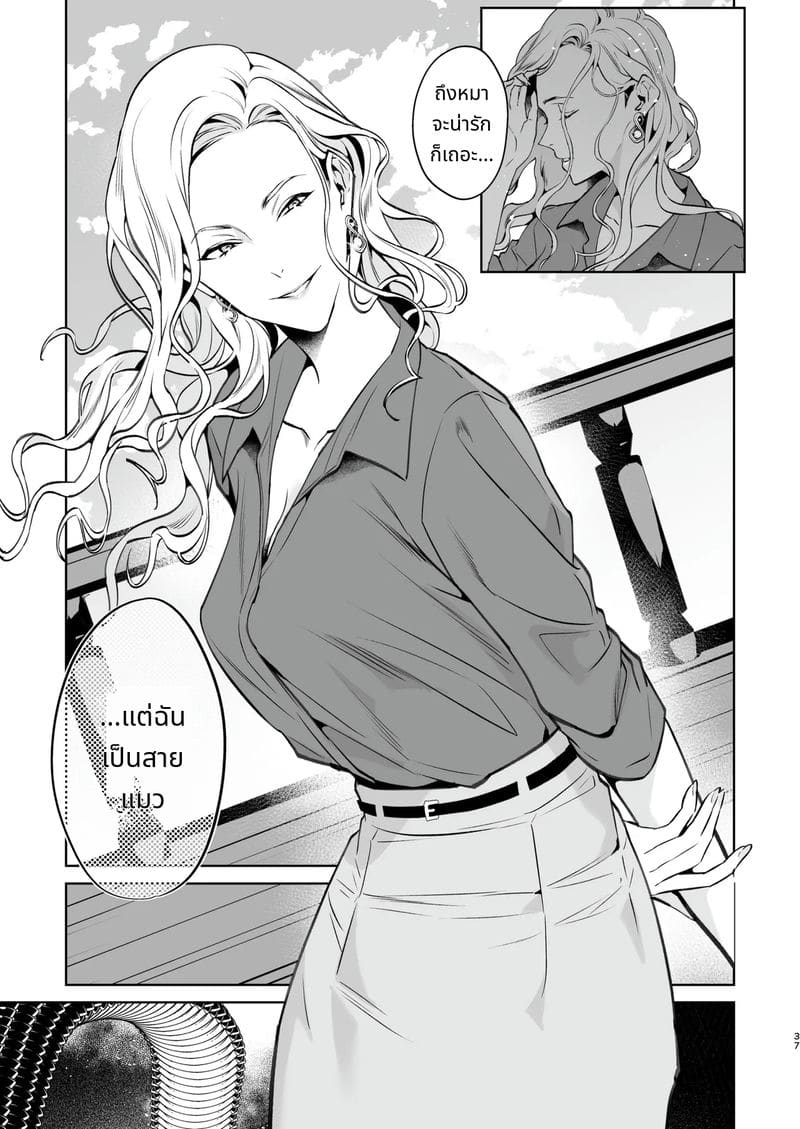 งูและแมงมุม ภาพ 38