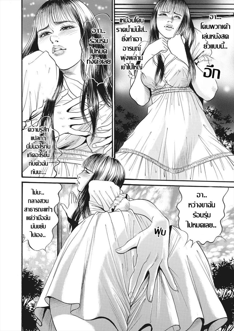 คุณนายของขาด กับค่ำคืนในสวนสาธารณะ ภาพ 5