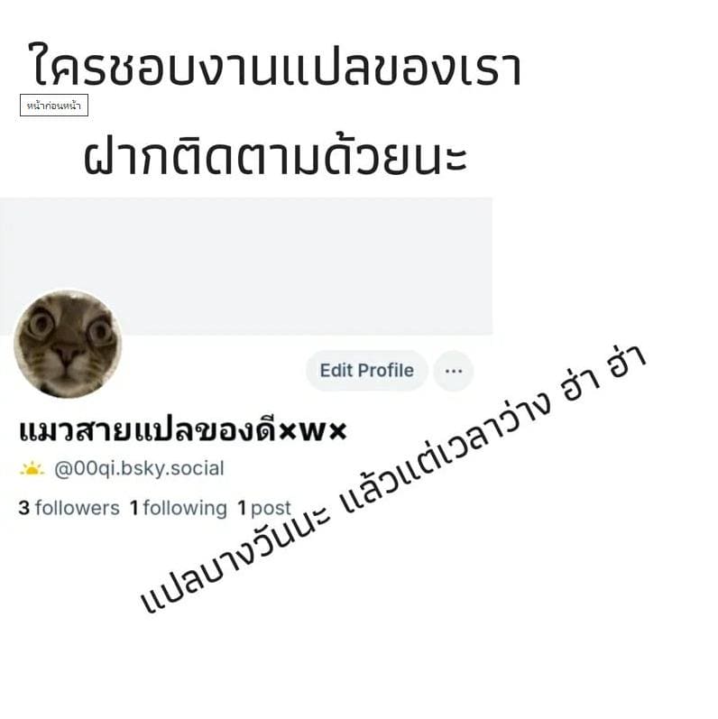 โมเอะ โมเอะ ภาพ 8