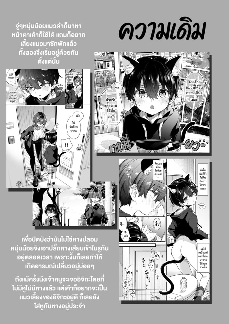 ขอเป็นแมวให้พี่เลี้ยง ภาพ 3