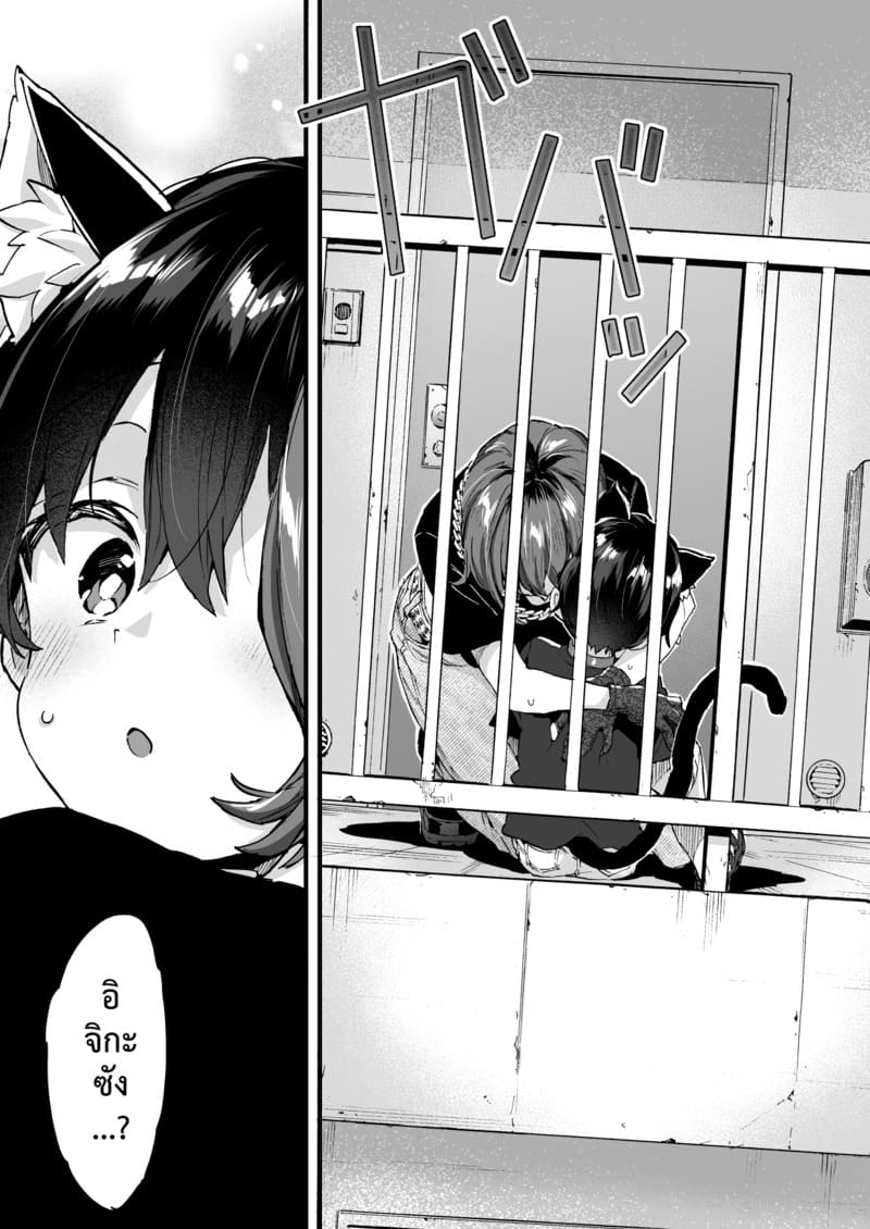 ขอเป็นแมวให้พี่เลี้ยง ภาพ 39