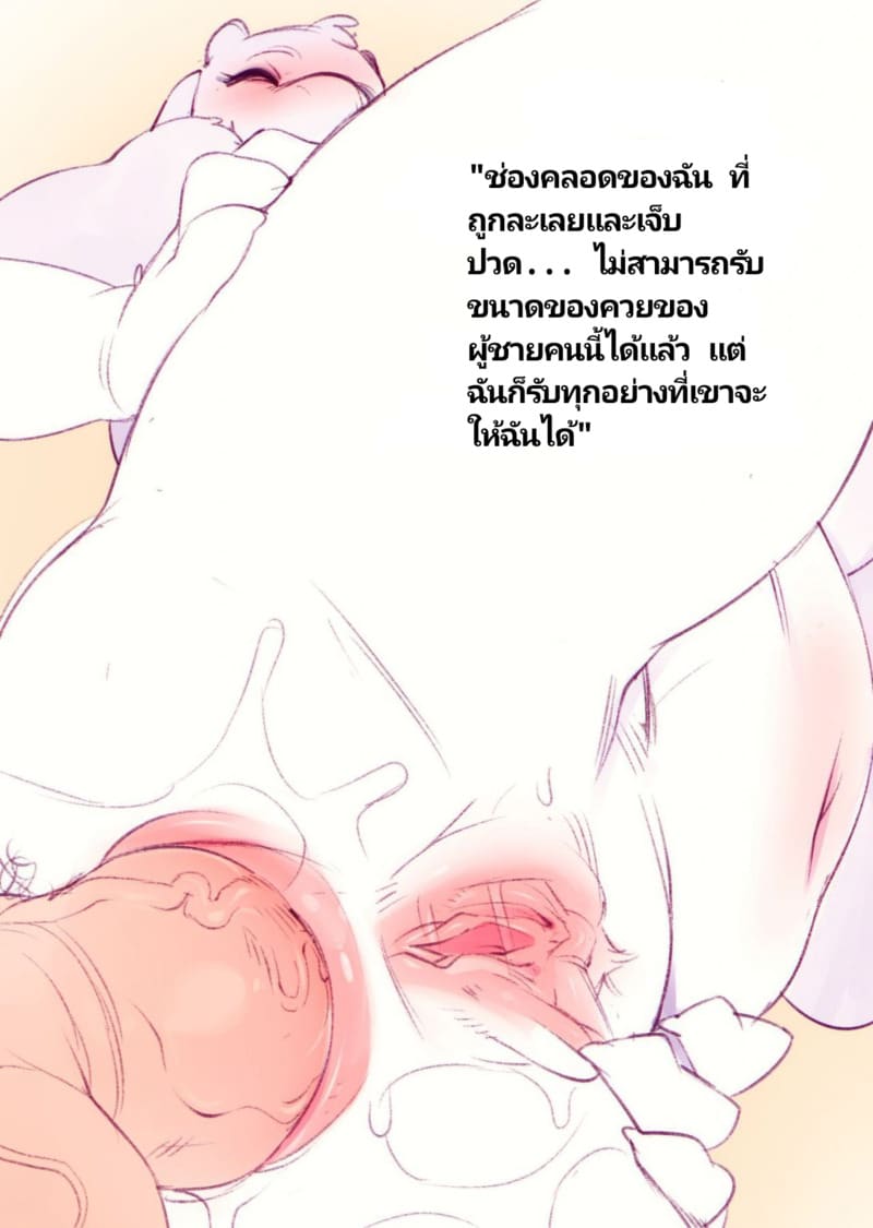 ทอเรียลนังหมูร่าน ภาพ 12