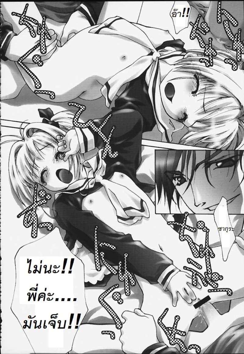 ซากุระกับความต้องการของพี่ชาย ภาพ 15