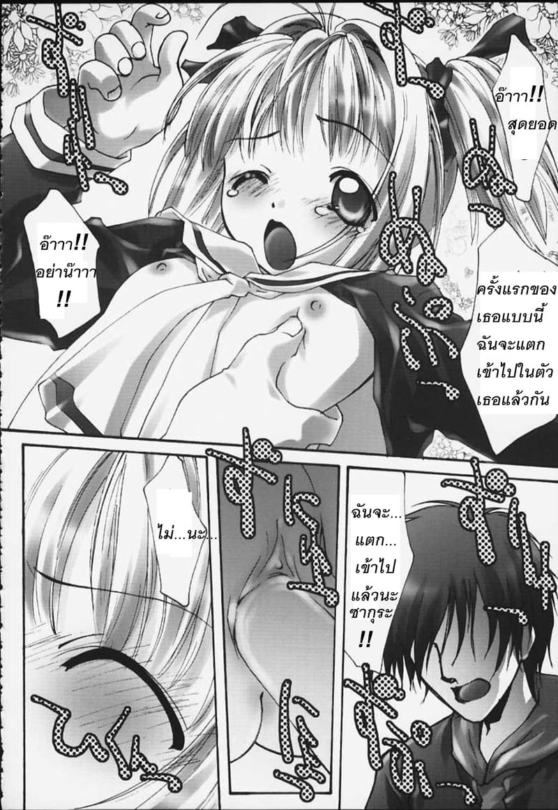 ซากุระกับความต้องการของพี่ชาย ภาพ 21