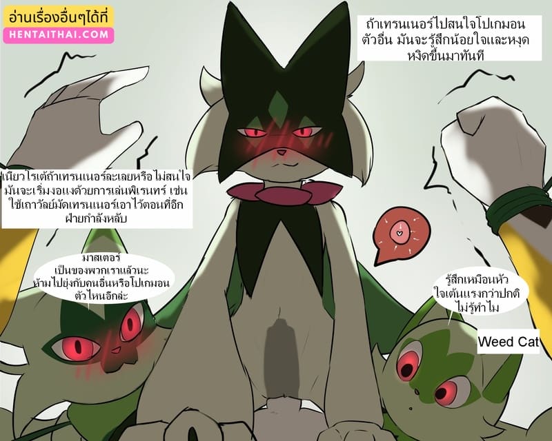 เทรนเนอร์ต้องสนใจชั้นคนเดียว ภาพ 2