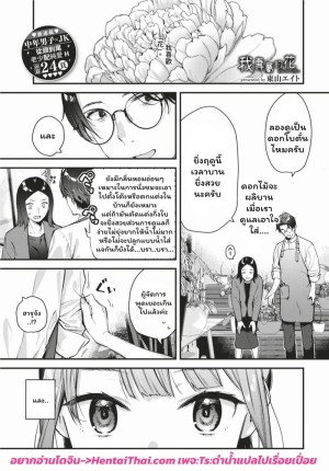 โดจิน ดอกไม้ผลิบานแห่งรัก 1 แนว UNCENSORED แปลไทย
