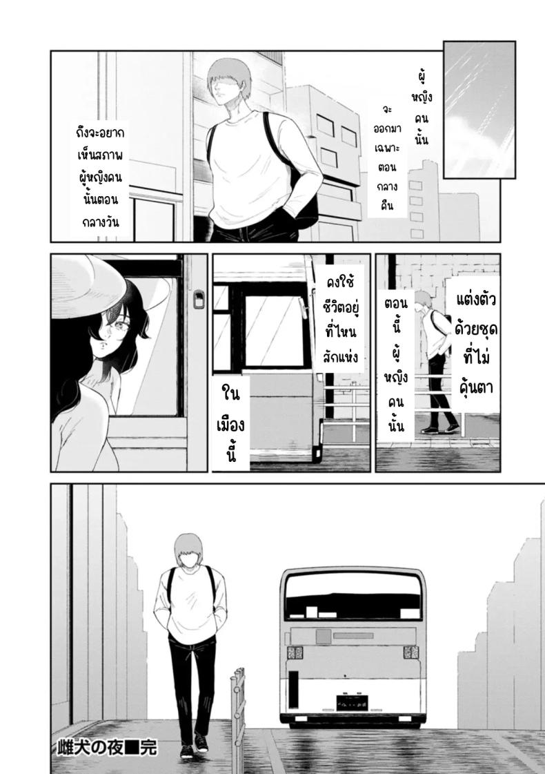 หมาตัวเมียยามค่ำคืน ภาพ 19