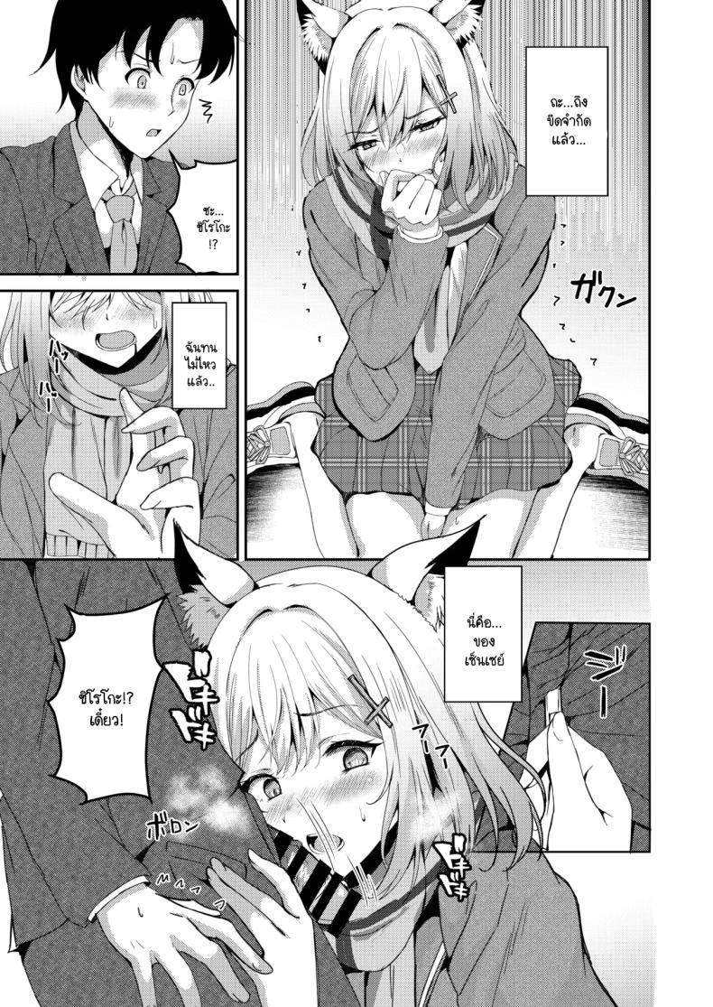 ชิโรโกะช่วงฤดูผสมพันธ์ ภาพ 3