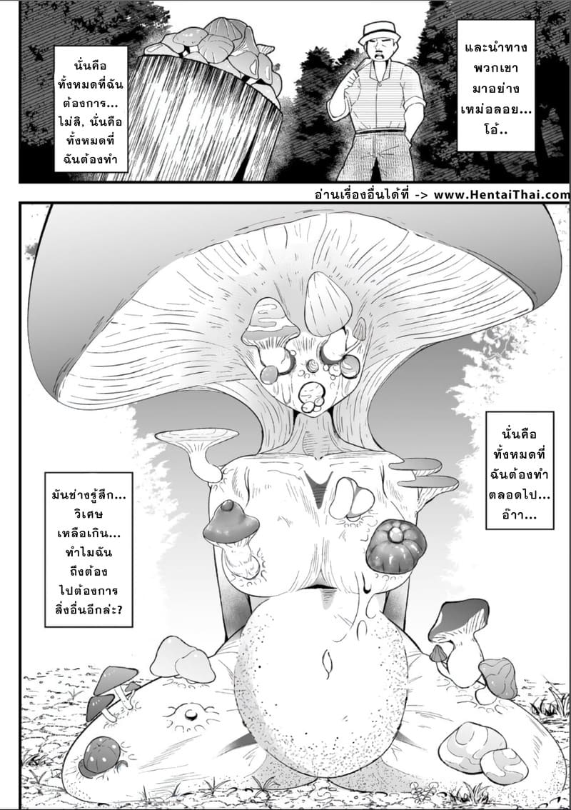 เควสต์เก็บเห็ด ภาพ 15