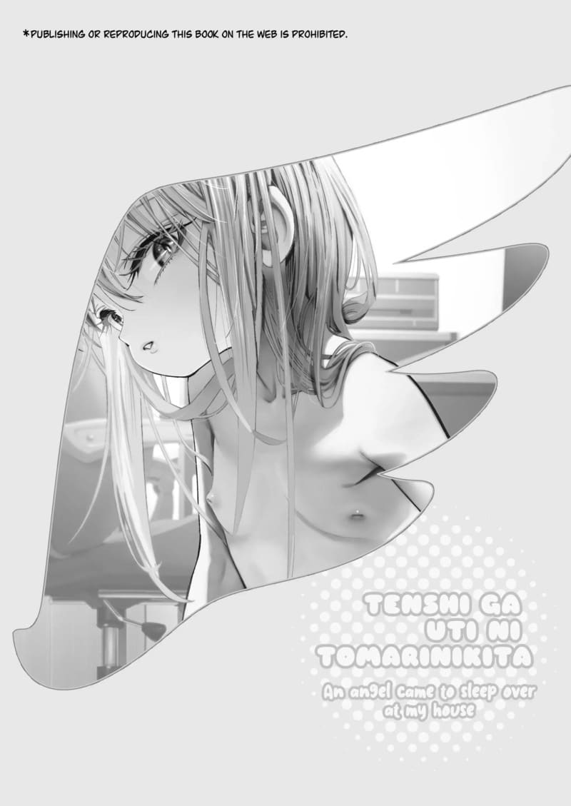 เมื่อนางฟ้ามาพักที่บ้านผม ภาพ 2