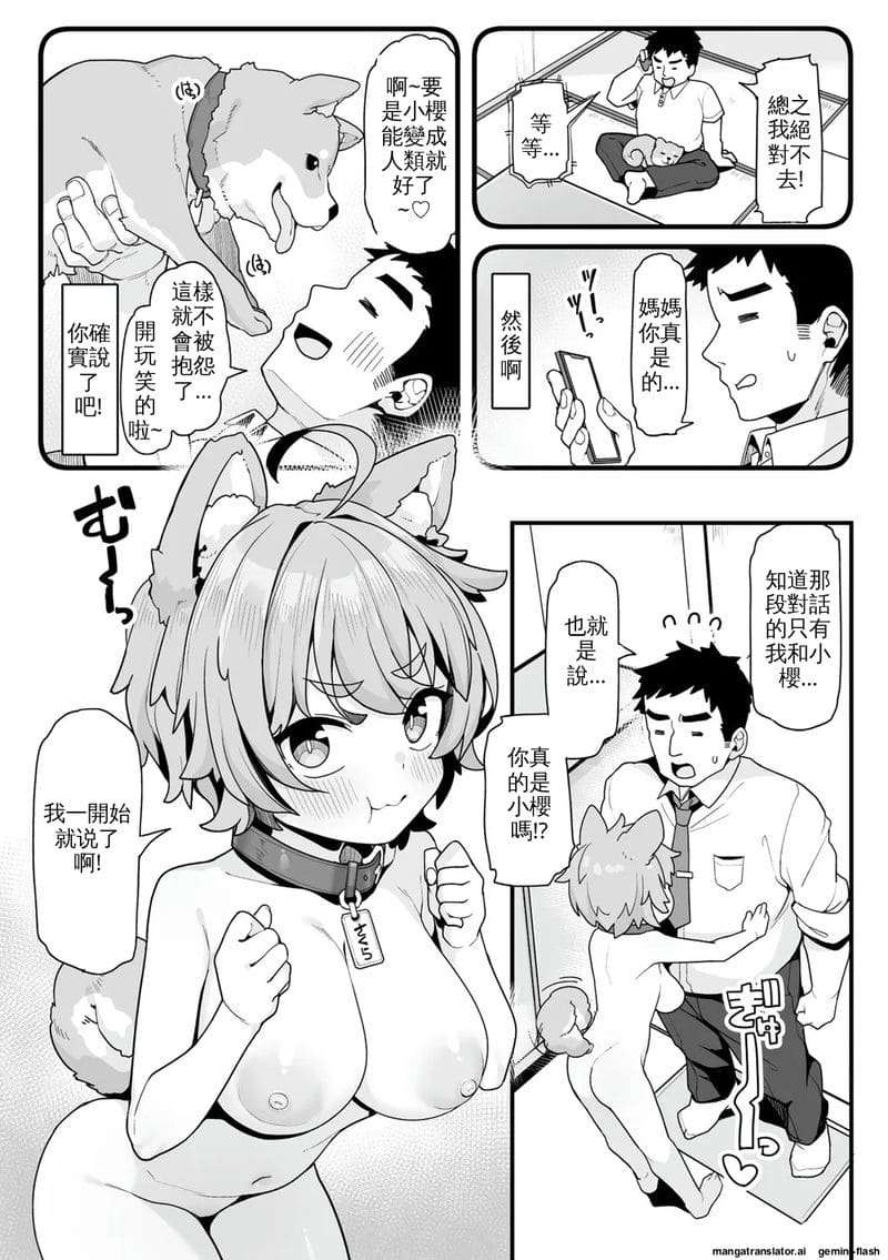 สุนัขสาวสุดน่ารัก โดนเย็ดหีสดแตกในจนท้องโป๊ ภาพ 4