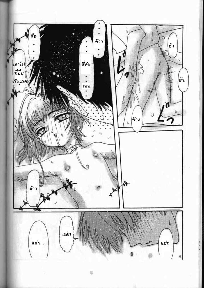 ซากุระกับการท่องเที่ยวของพี่น้อง ภาพ 12