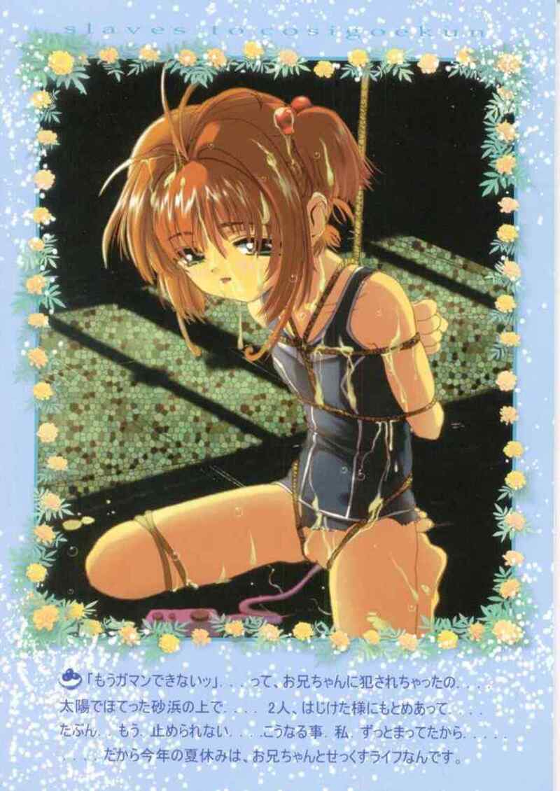 ซากุระกับการท่องเที่ยวของพี่น้อง ภาพ 23