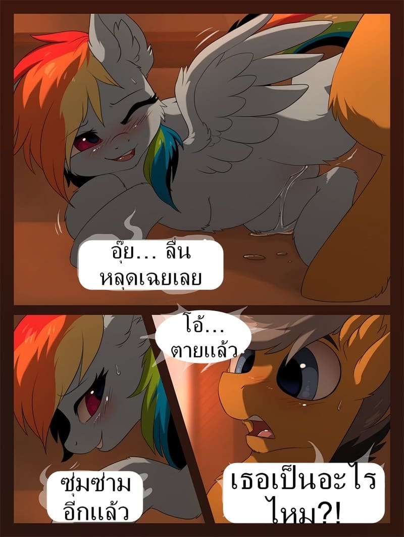 ไปด้วยกันม้า ภาพ 22