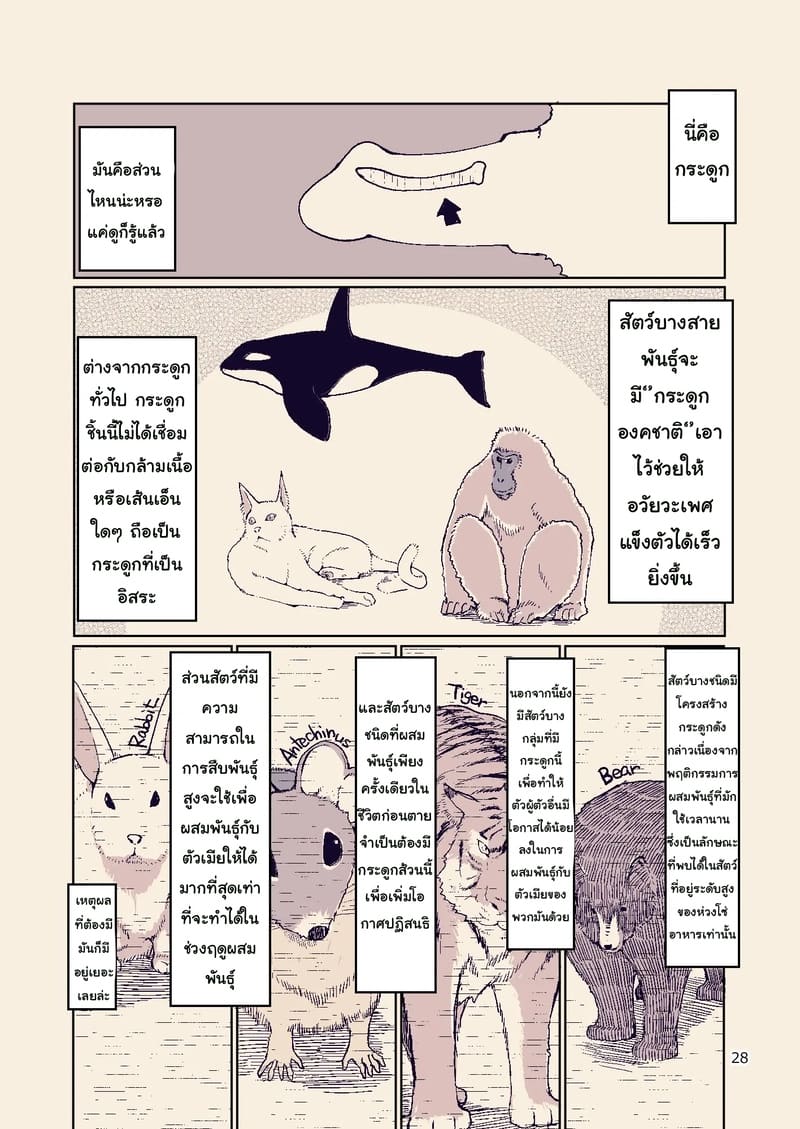 บันทึกข้ามสายพันธุ์ของสาวเอลฟ์ 8 ภาพ 27