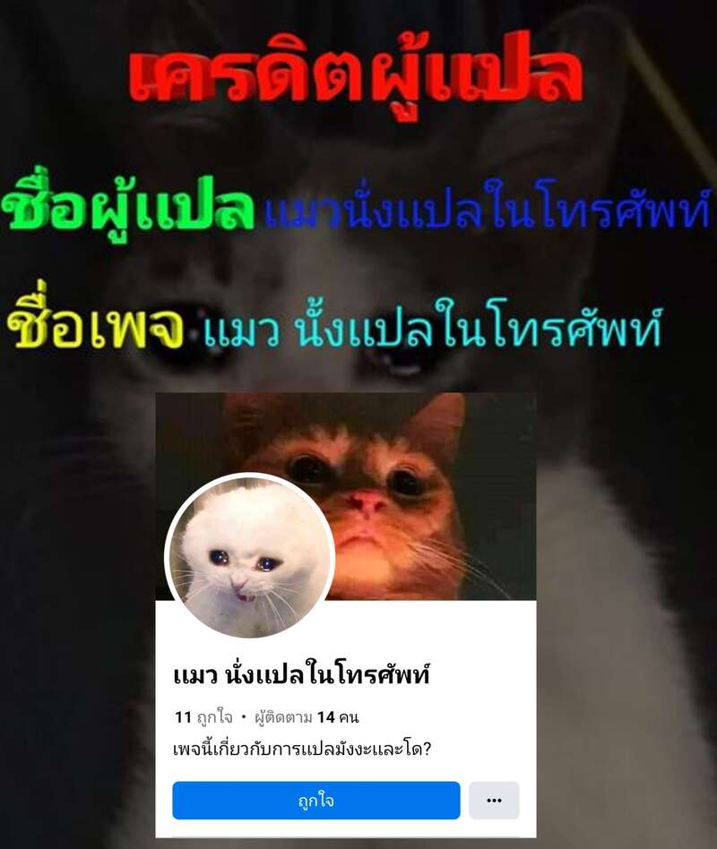 ออกแรงเพิ่มกล้ามเนื้อ ภาพ 4