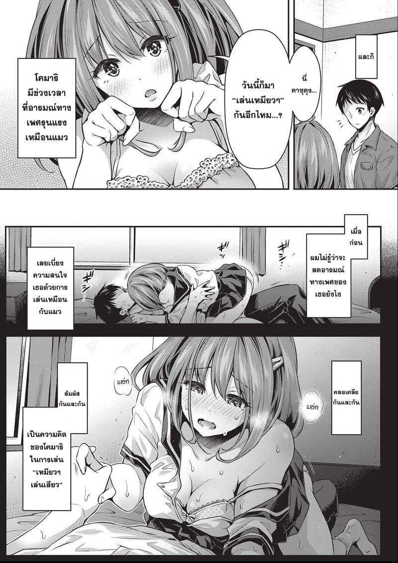 เล่นเหมียวเหมียว ภาพ 2