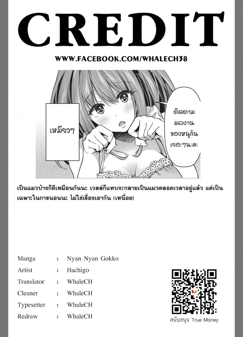 เล่นเหมียวเหมียว ภาพ 26