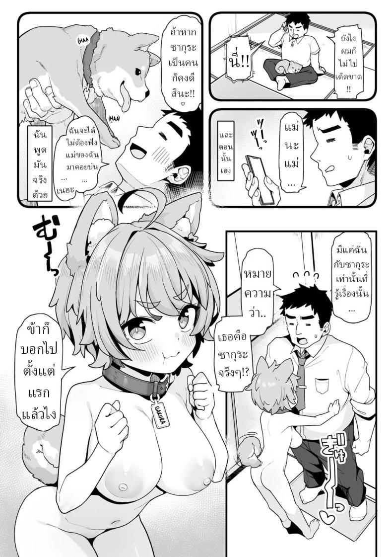 เล่นกับซากุระ ภาพ 4