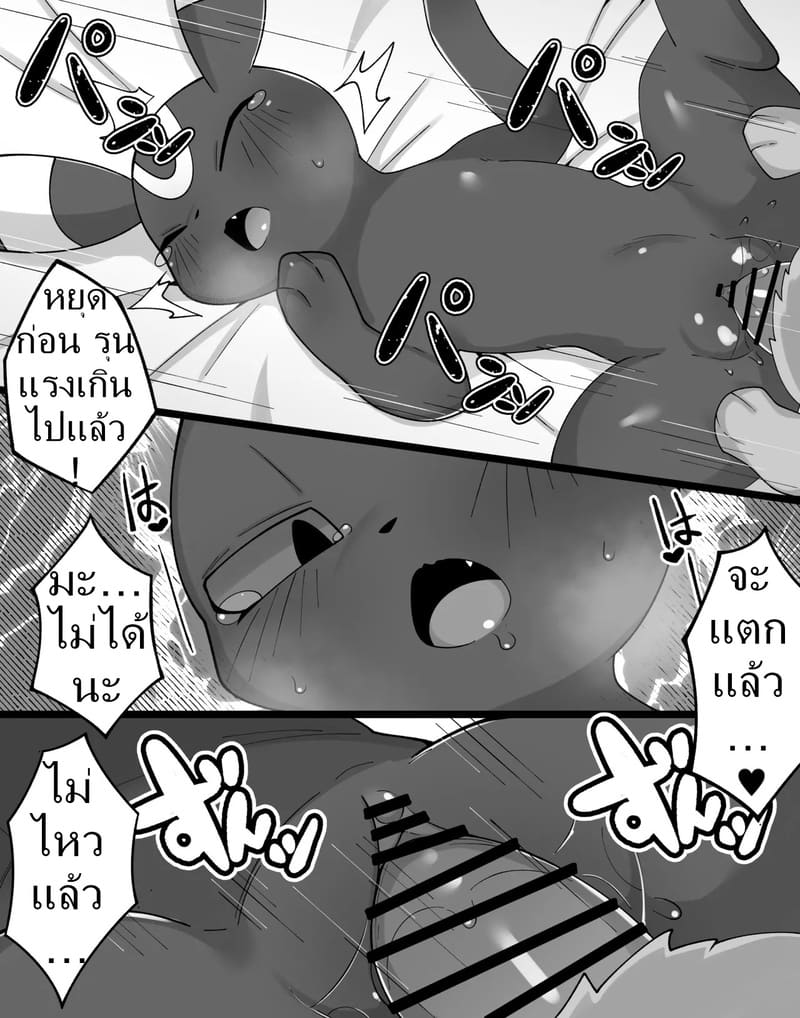 ค่ำคืนของอีวุย 1 ภาพ 10