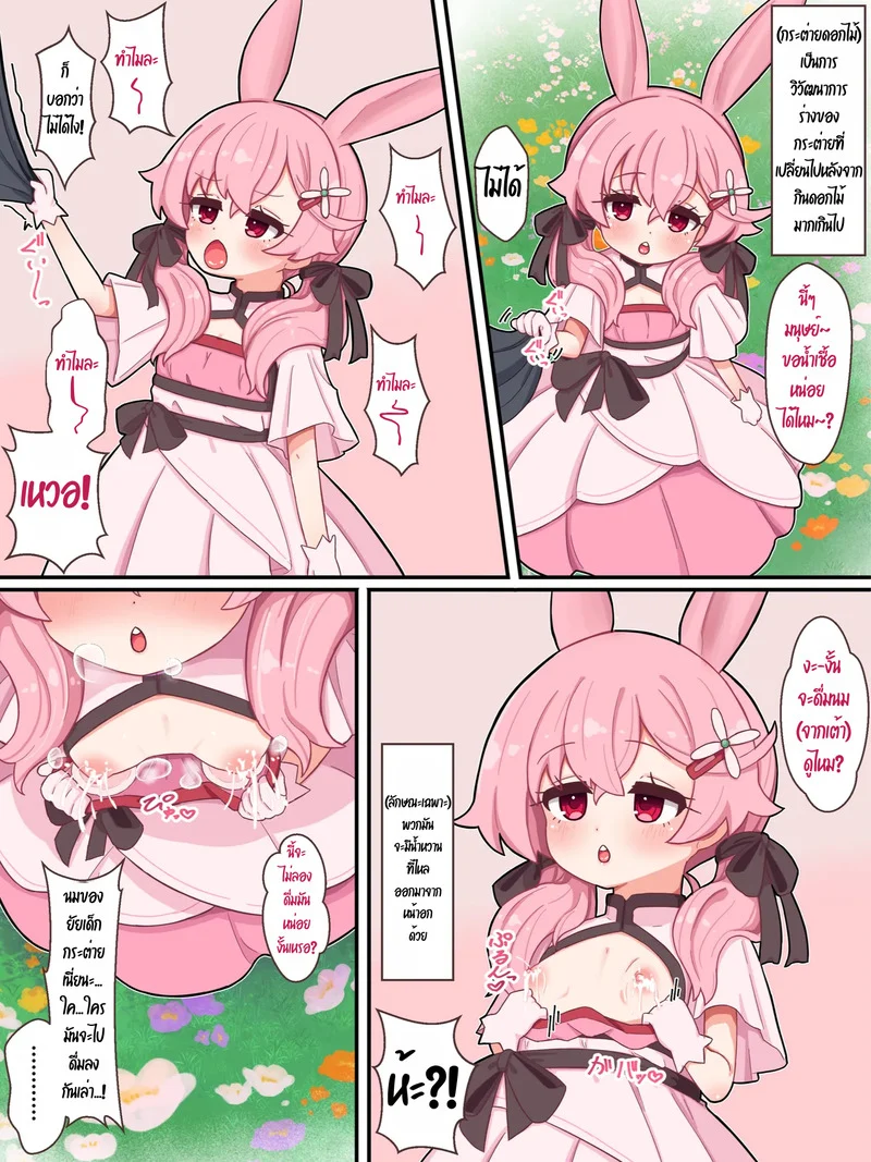 ยำรวมมิตรกระต่าย ภาพ 2