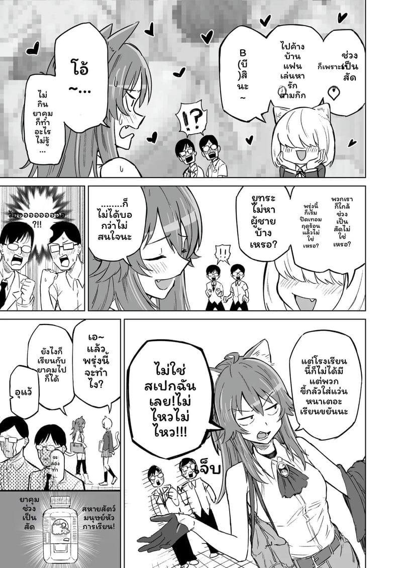 สาวแมวสุดเงี่ยน ภาพ 7