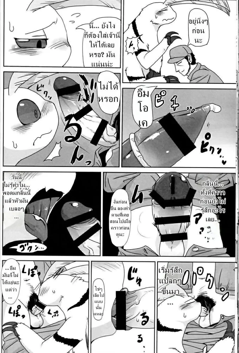 เรื่องของแมลง ภาพ 17