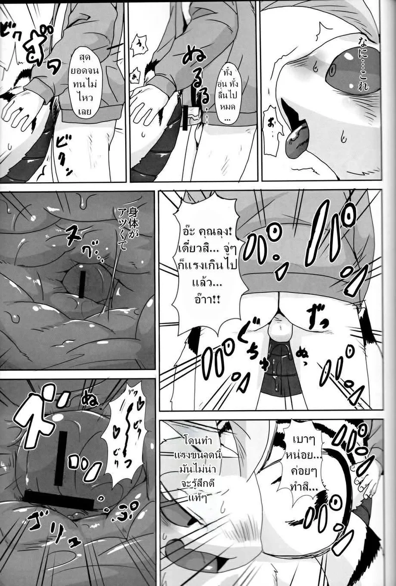 เรื่องของแมลง ภาพ 20