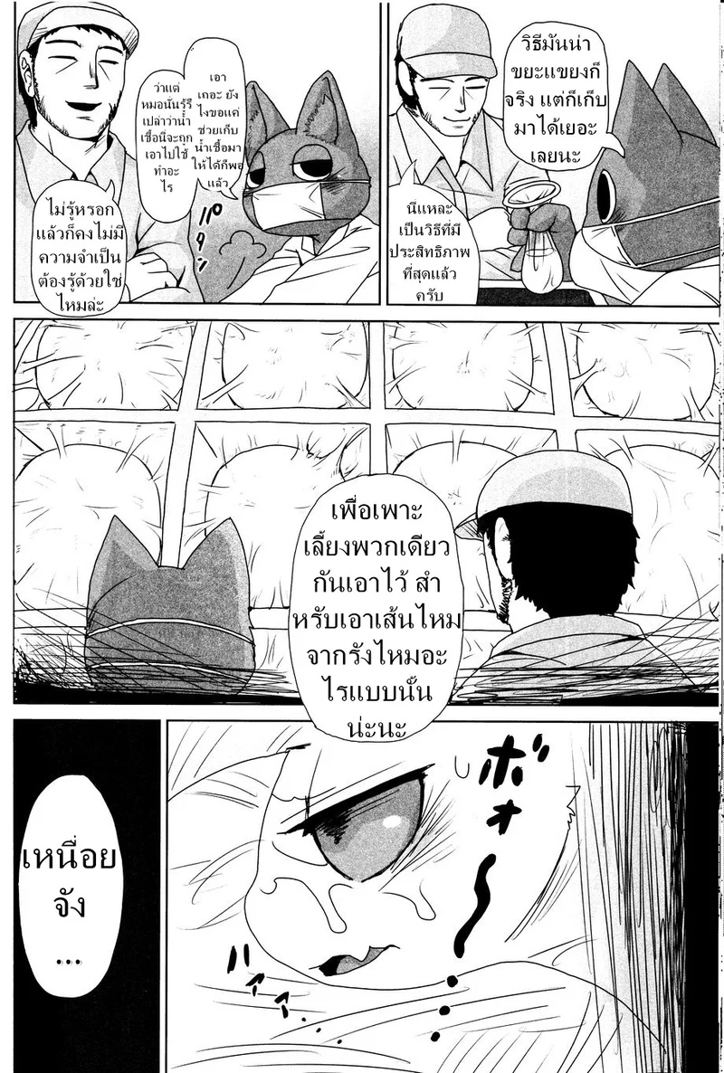 เรื่องของแมลง ภาพ 25